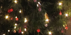 Weihnachtsbaum in St.-Franziskus-Kirche