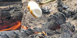 Flambierter Marshmellow