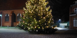 Weihnachtsbaum auf Altem MArkt